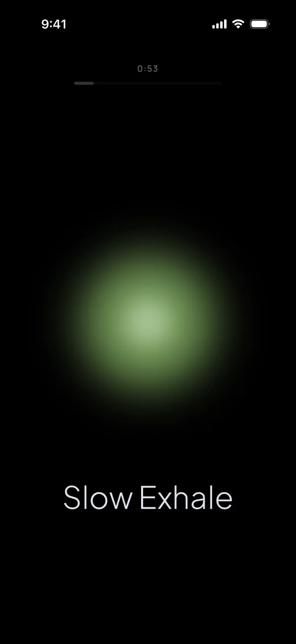 Product screenshot 2